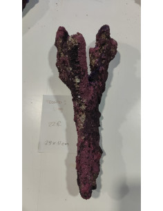 Tronco 3
