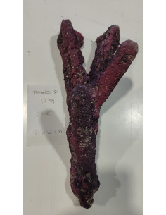 Tronco 8
