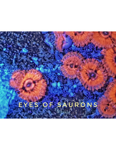 Eyes Sauron