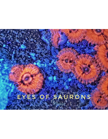 Eyes Sauron