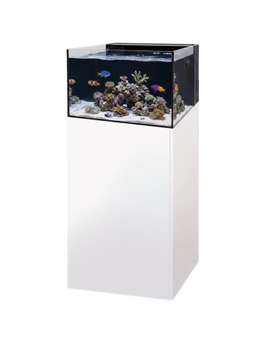 Yasha 100 Lagoon