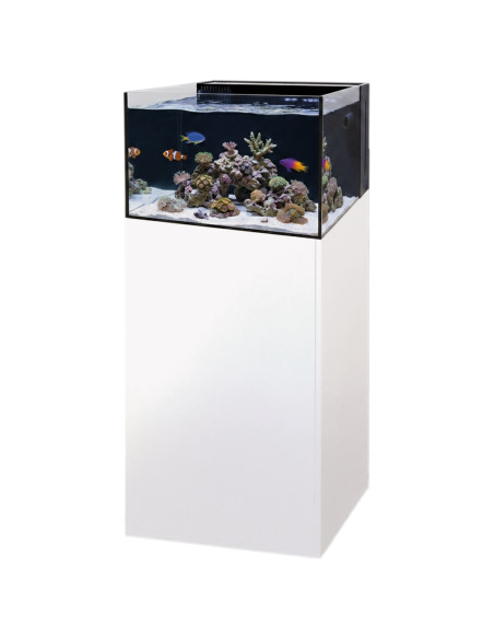 Yasha 100 Lagoon