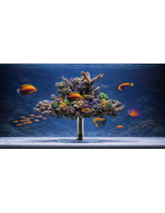 reef360° DIY 2