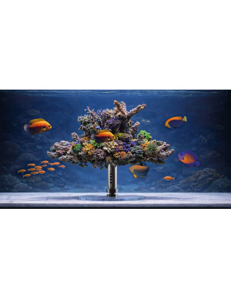 reef360° DIY