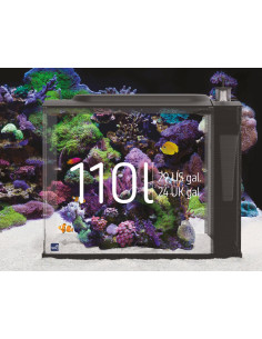 First Wave 110 L