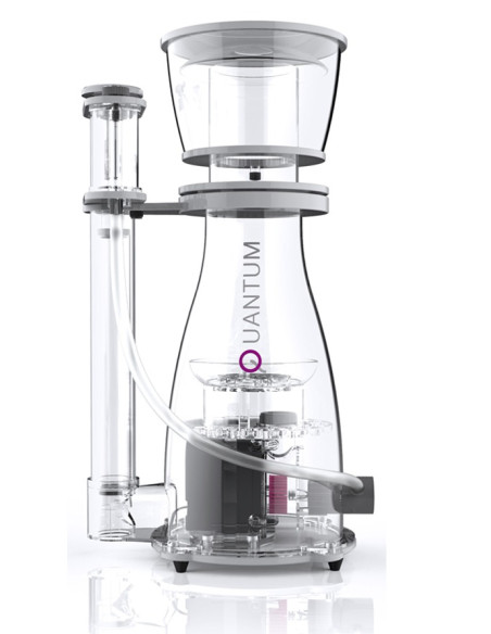Quantum 220