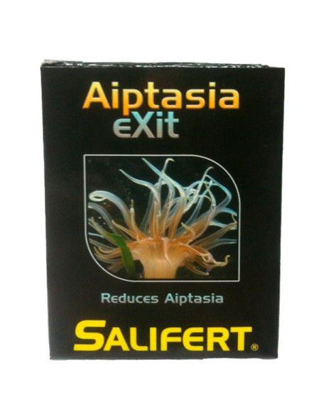 AIPTAPSIA EXIT