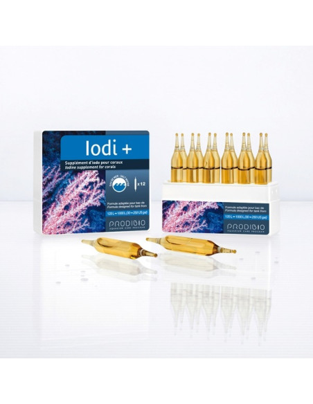 IODI+