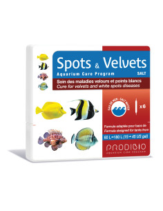 Spots & Velvets (5+1 ampollas)