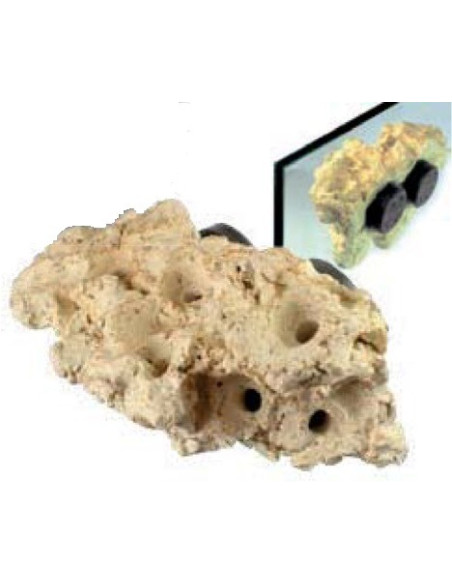 Coral Rack long