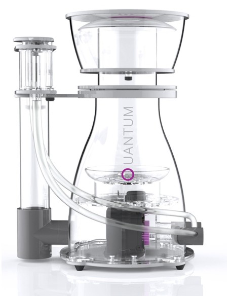 Quantum 300