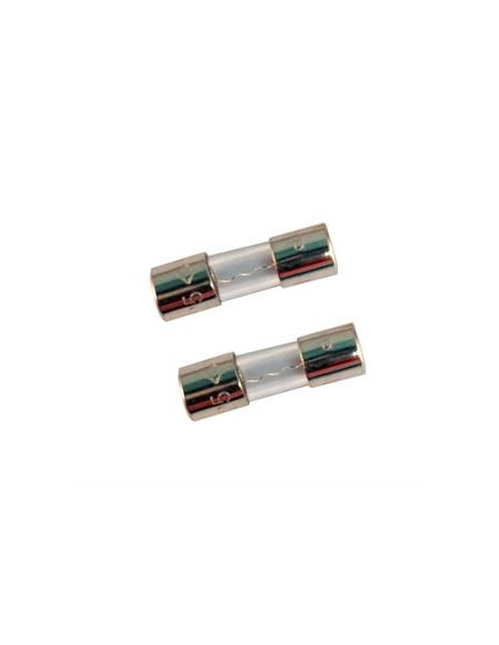 Fusible (2 uds.) XR30