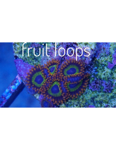 Fruit Loops