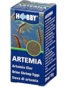 Huevos de Artemia