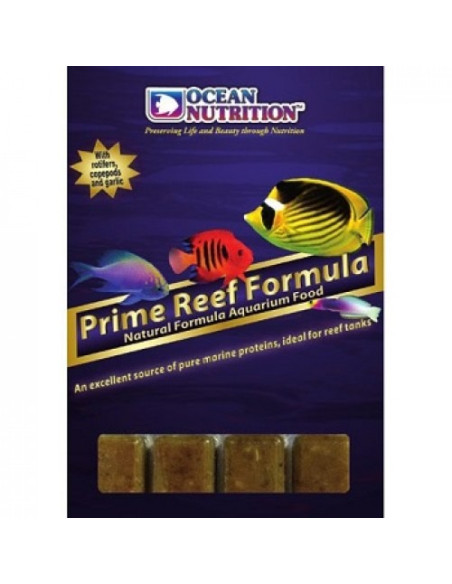 Frozen Prime Reef