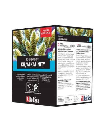 Reef Foundation B (Kh) 