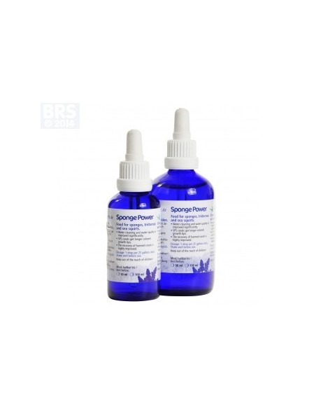 Sponge Power Concentrate 10ml.
