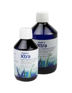 Pohl's Xtra Konzentrat 250ml
