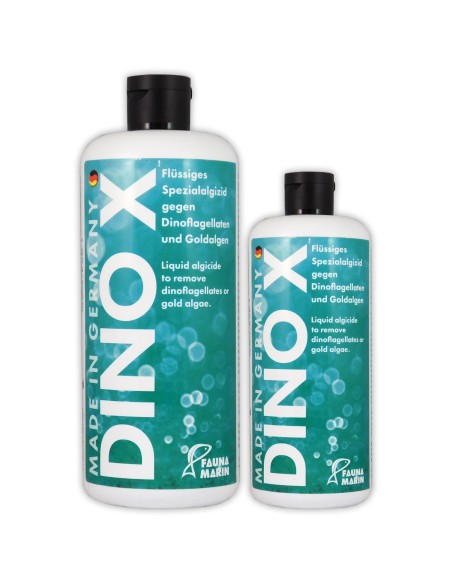 Dino X