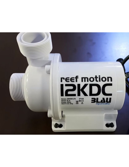 Reef Motion 12KDC