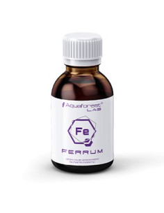 Ferrum Lab (Fe)