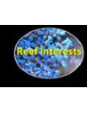 Reef Interest