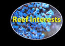 Reef Interest
